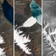 This region of Tibet’s Aru Range has been the site of two enormous ice avalanches in recent months. Image: NASA Earth Observatory